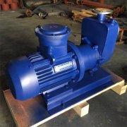 不锈钢自吸式榴莲视频下载污如何避免操作时出错