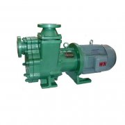 氟塑料立式榴莲视频下载污都有哪些