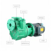  榴莲视频黄色APP如何启动